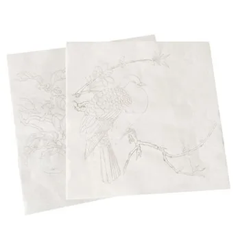 Meticulos Pictura Copierea Manuscriselor Chineze Acuarelă, Desen, Flori, Păsări Model De Copiere Hârtie Xuan