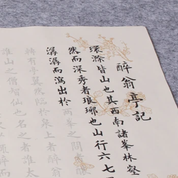 Îngroșa Inima Sutra Poem Caiet Stabilit Chineză Pastel Hârtie Xuan Caligrafie Caiete Mici Script-Ul Regulat Caiete De Caligrafie